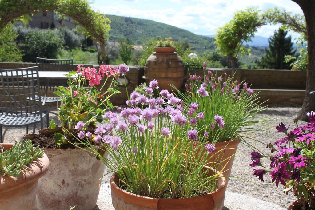 Relais Mastro Cinghiale Bed and Breakfast Paciano Exterior foto
