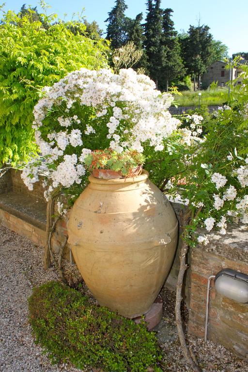 Relais Mastro Cinghiale Bed and Breakfast Paciano Exterior foto