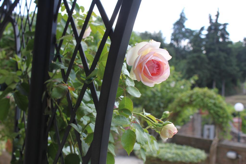 Relais Mastro Cinghiale Bed and Breakfast Paciano Exterior foto